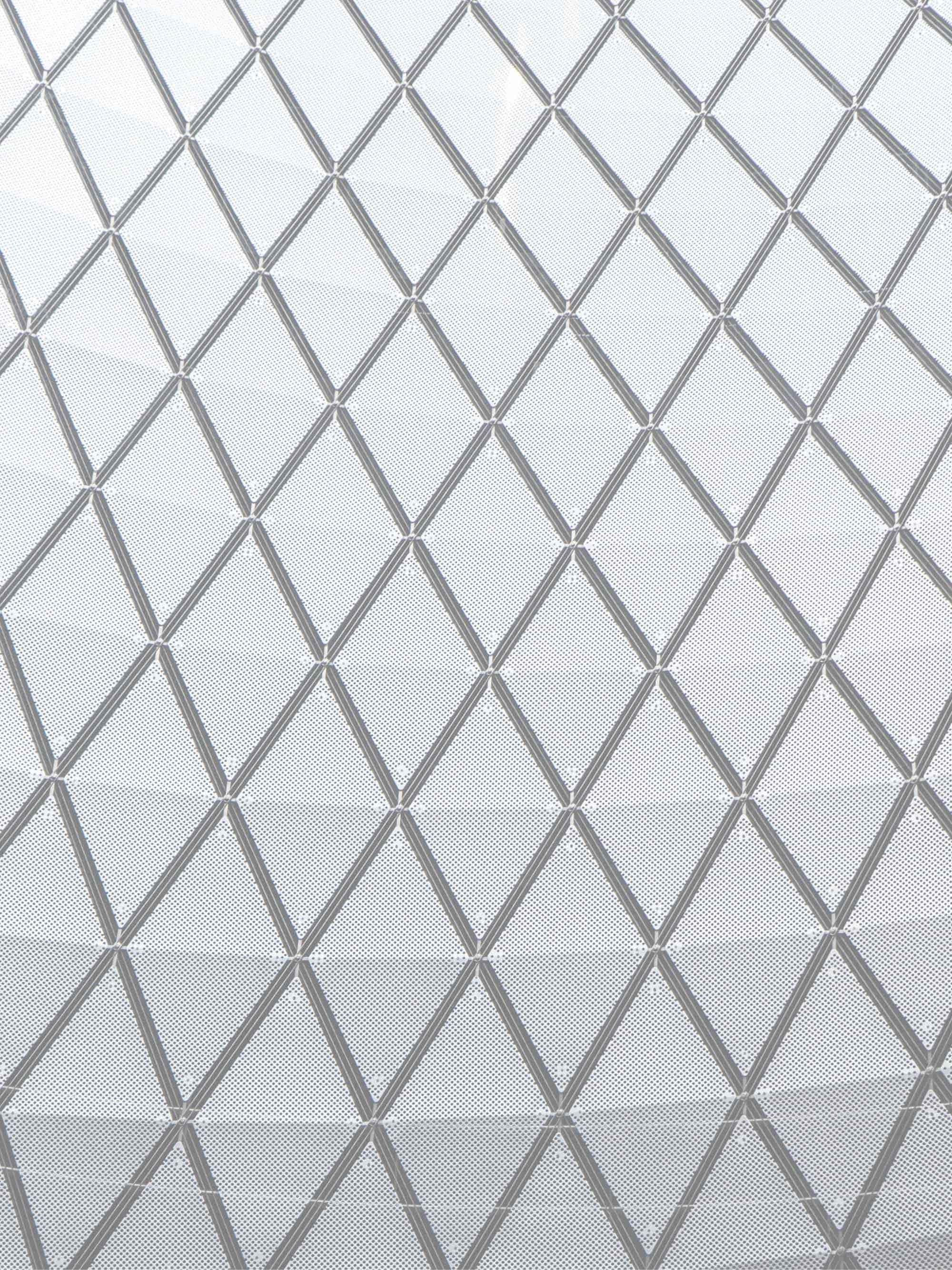 Elit Condimentum